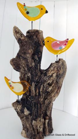 Birds_in_Driftwood.jpg
