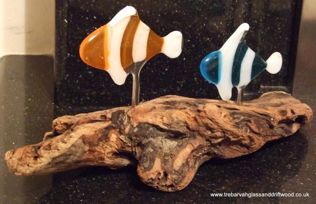 fused_glass_fish_in_driftwood.jpg